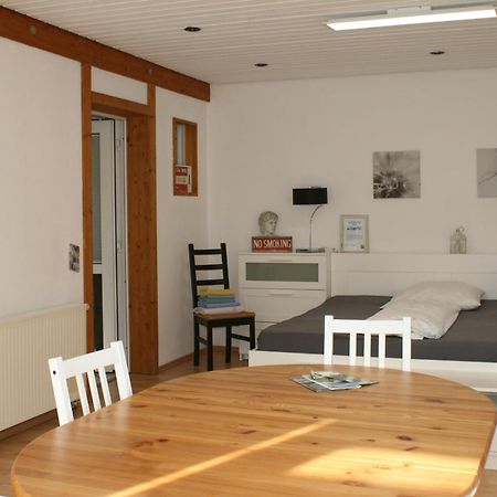 Gemuetliches Grosszuegiges Apartment Höhr-Grenzhausen Exterior foto